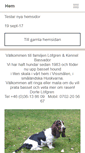 Mobile Screenshot of bassador.se