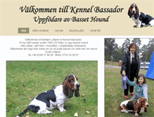 Tablet Screenshot of bassador.se